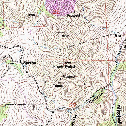 Topographic Map of Black Point, CA