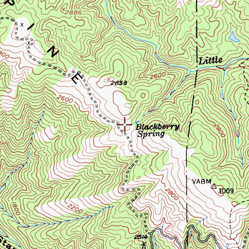 Topographic Map of Blackberry Spring, CA
