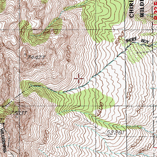 Topographic Map of Bird Tank, AZ