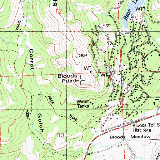 Topographic Map of Bloods Point, CA