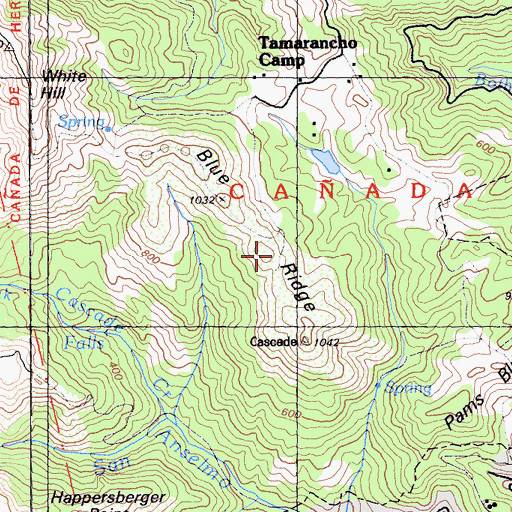 Topographic Map of Blue Ridge, CA