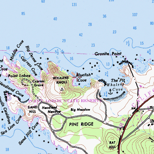 Topographic Map of Bluefish Cove, CA