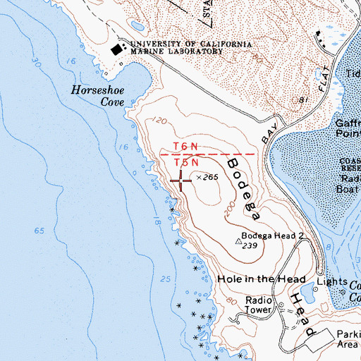 Topographic Map of Bodega Head, CA