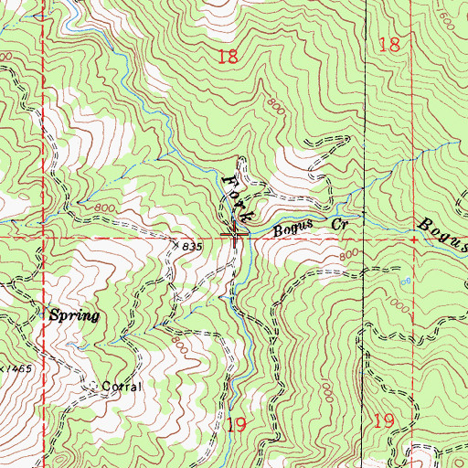 Topographic Map of Bogus Creek, CA