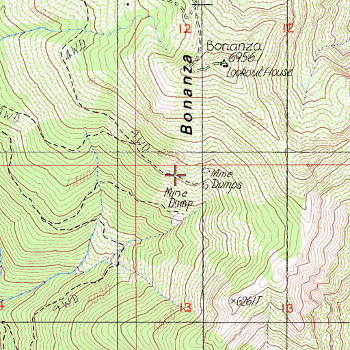 Topographic Map of Bonanza King Mine, CA