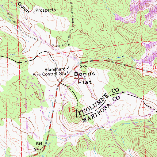 Topographic Map of Bonds Flat, CA