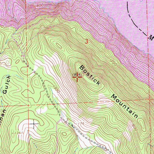 Topographic Map of Bostick Mountain, CA