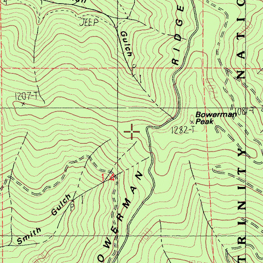 Topographic Map of Bowerman Peak, CA