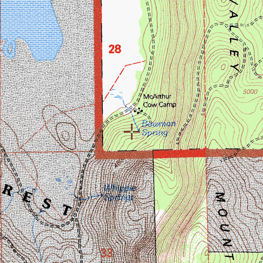 Topographic Map of Bowman Spring, CA