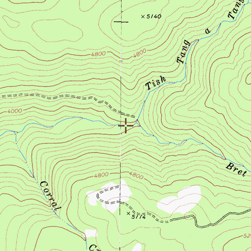 Topographic Map of Bret Creek, CA