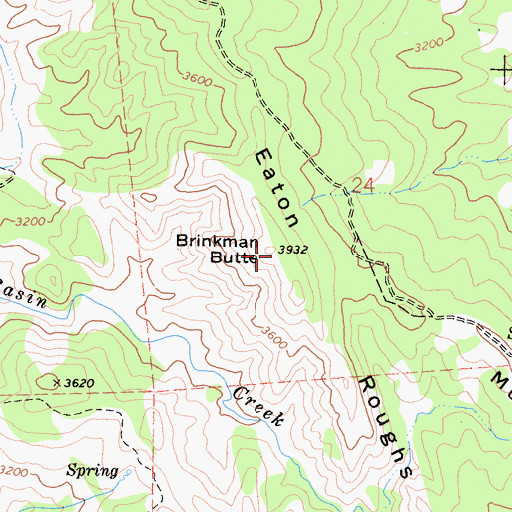Topographic Map of Brinkman Butte, CA
