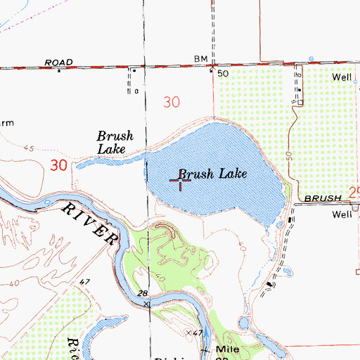 Topographic Map of Brush Lake, CA