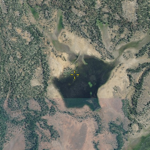 Aerial/Satellite Image of Buchanan Flat, CA