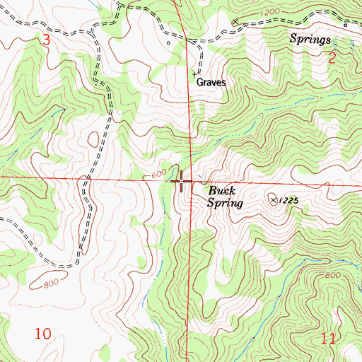 Topographic Map of Buck Spring, CA