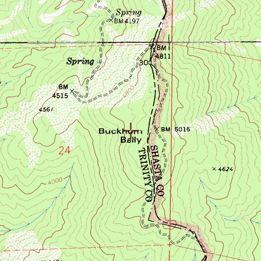 Topographic Map of Buckhorn Bally, CA