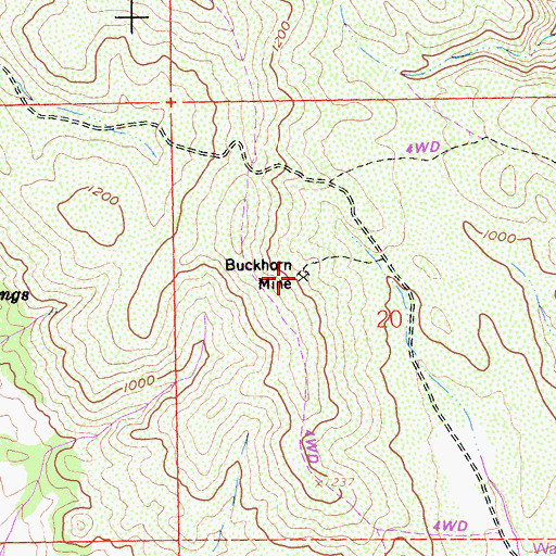 Topographic Map of Buckhorn Mine, CA