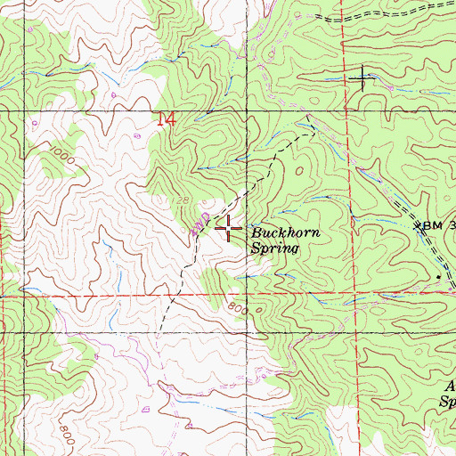 Topographic Map of Buckhorn Spring, CA