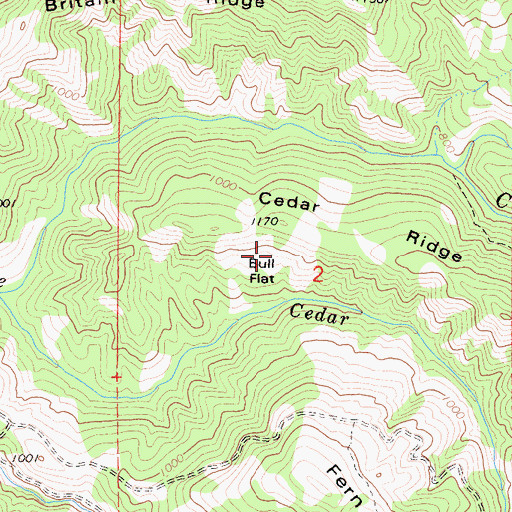 Topographic Map of Bull Flat, CA