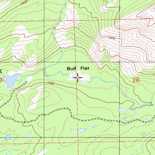 Topographic Map of Bull Flat, CA