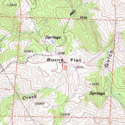 Topographic Map of Burns Flat, CA
