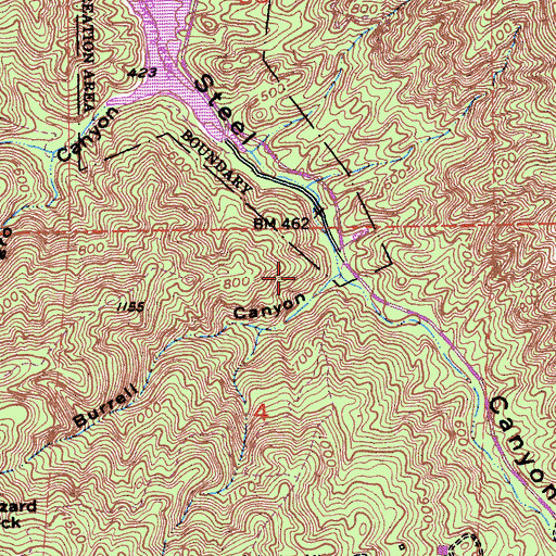 Topographic Map of Burrell Canyon, CA