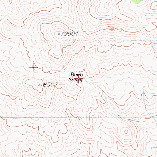 Topographic Map of Burro Spring, CA