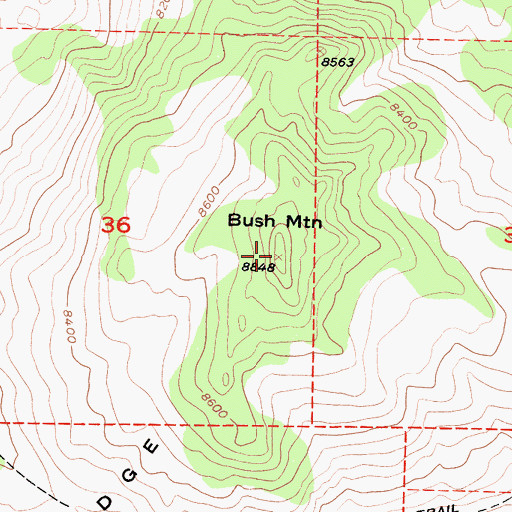 Topographic Map of Bush Mountain, CA