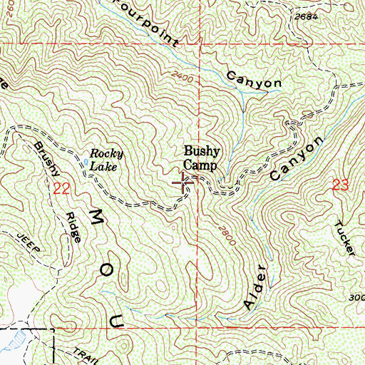 Topographic Map of Bushy Camp, CA