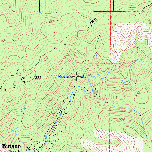 Topographic Map of Butano Falls, CA