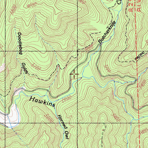 Topographic Map of Butcherknife Creek, CA
