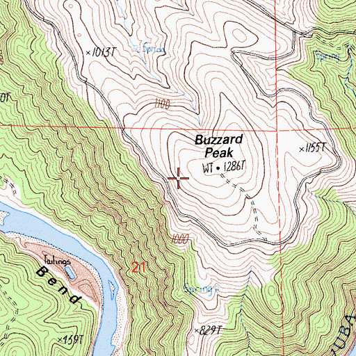 Topographic Map of Buzzard Peak, CA