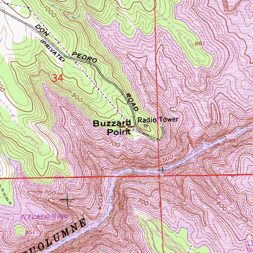 Topographic Map of Buzzard Point, CA