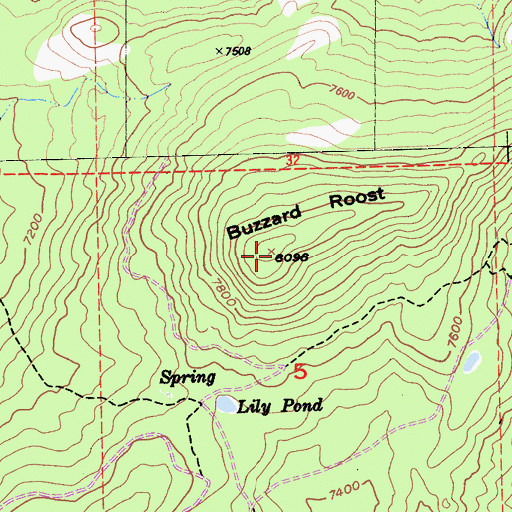 Topographic Map of Buzzard Roost, CA