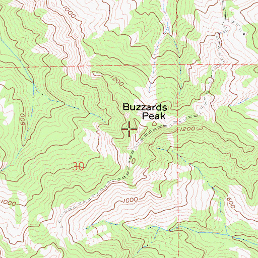 Topographic Map of Buzzards Peak, CA