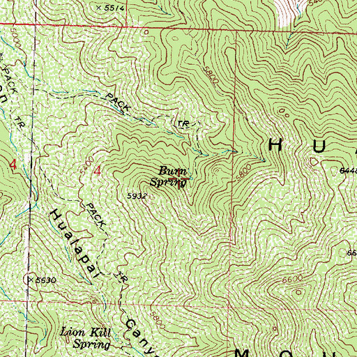 Topographic Map of Burn Spring, AZ