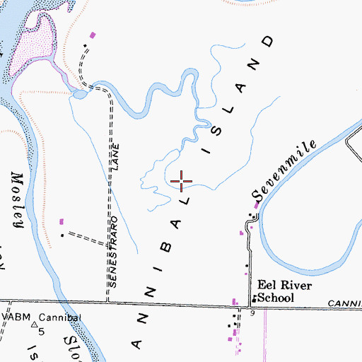Topographic Map of Cannibal Island, CA
