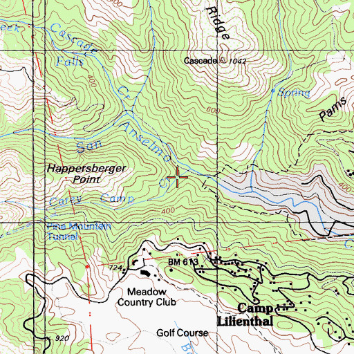 Topographic Map of Carey Camp Creek, CA
