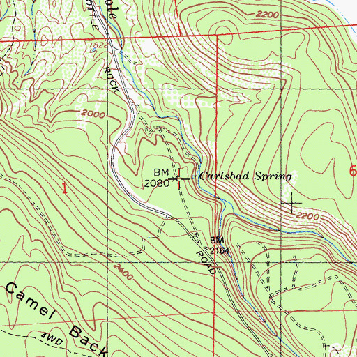 Topographic Map of Carlsbad Spring, CA