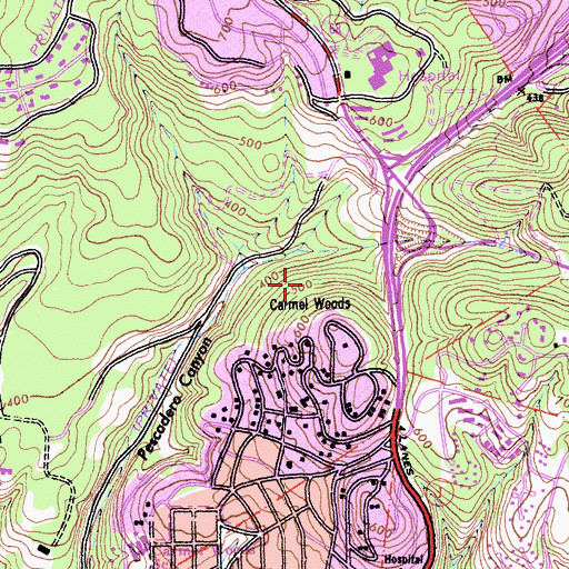 Topographic Map of Carmel Woods, CA