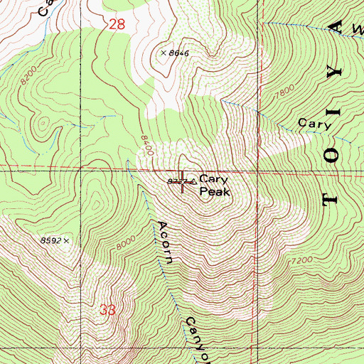 Topographic Map of Cary Peak, CA