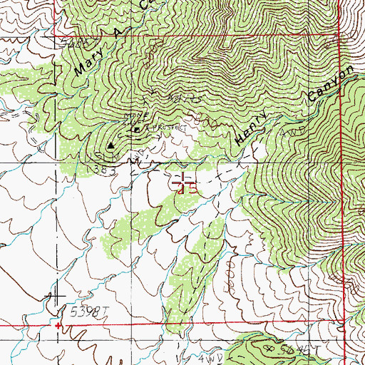 Topographic Map of Henry Canyon, AZ