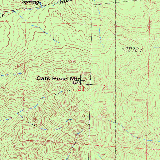 Topographic Map of Cats Head Mountain, CA