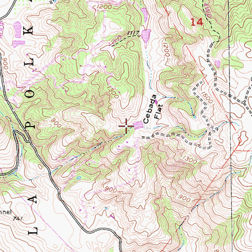 Topographic Map of Cebada Flat, CA