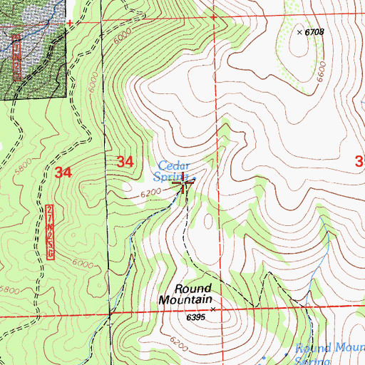 Topographic Map of Cedar Spring, CA