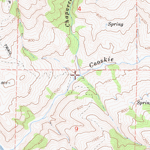 Topographic Map of Chaparral Creek, CA