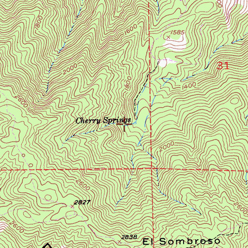 Topographic Map of Cherry Springs, CA