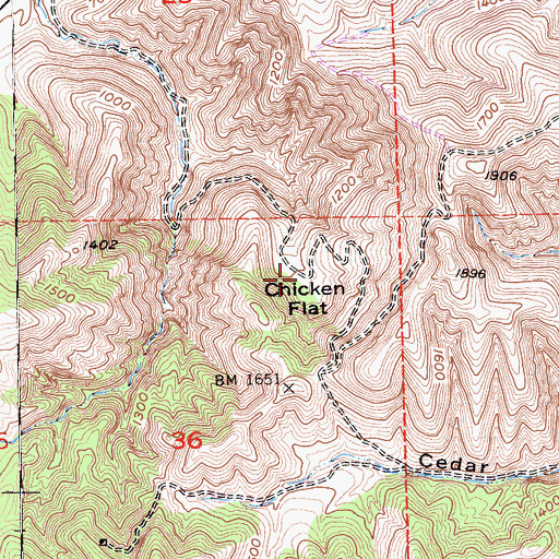 Topographic Map of Chicken Flat, CA