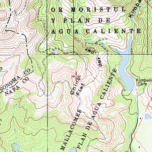 Topographic Map of Chino Flat, CA