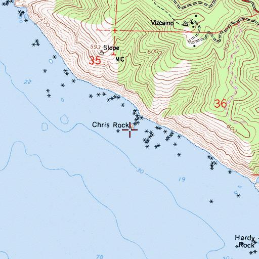Topographic Map of Chris Rock Island, CA