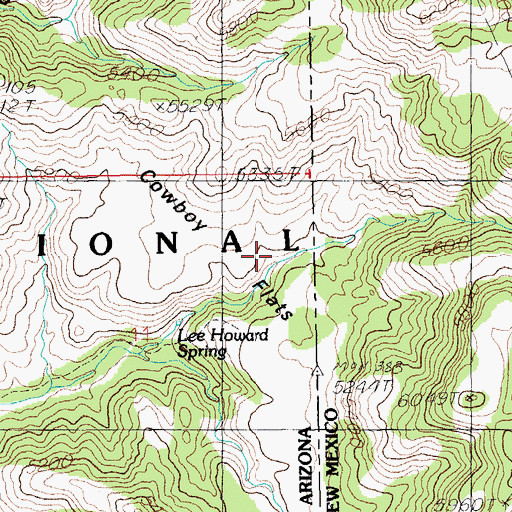 Topographic Map of Lee Howard Spring, AZ